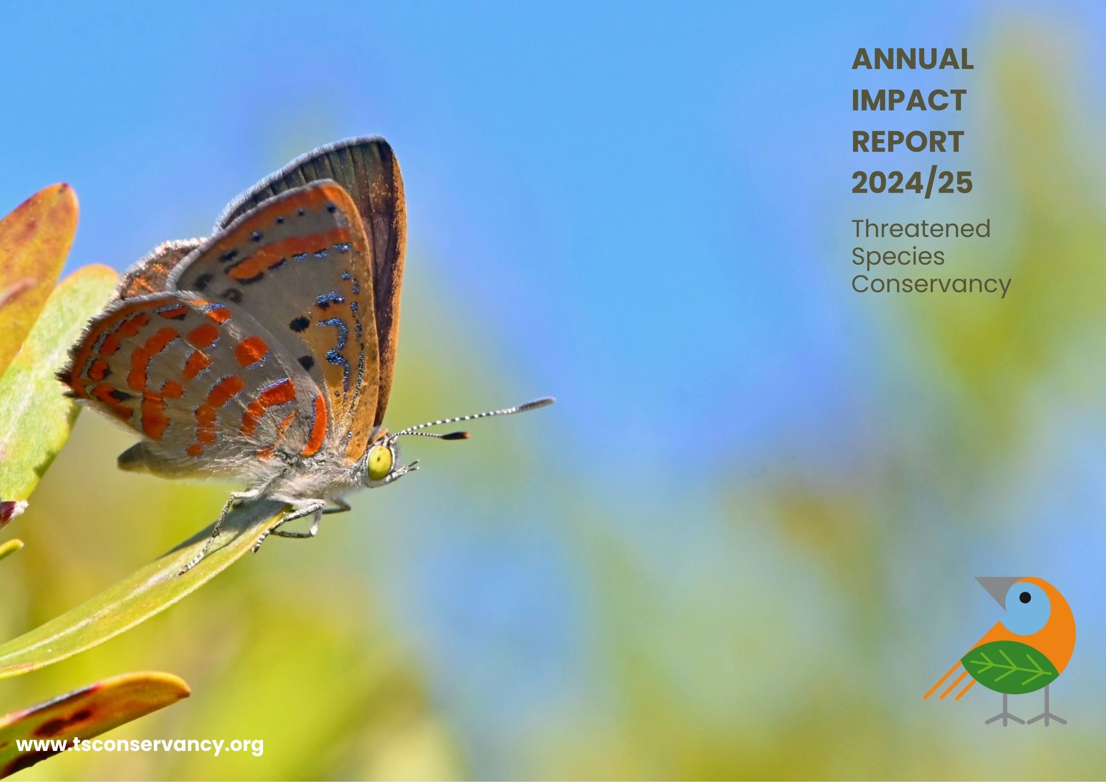 Annual Report 202425