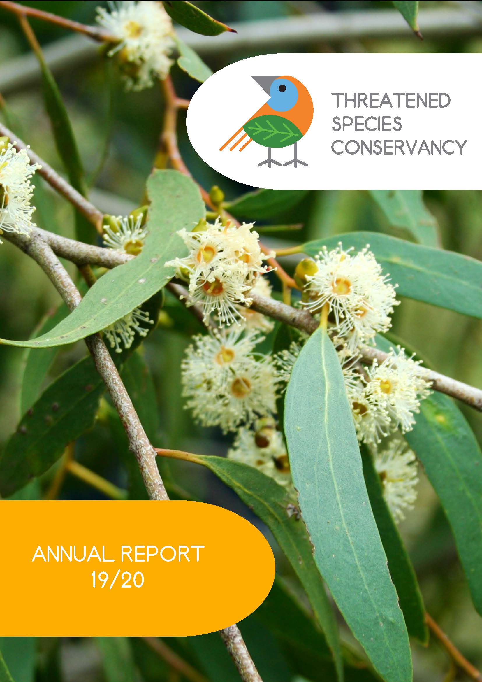 Annual_Report_TSC Final_Page_01