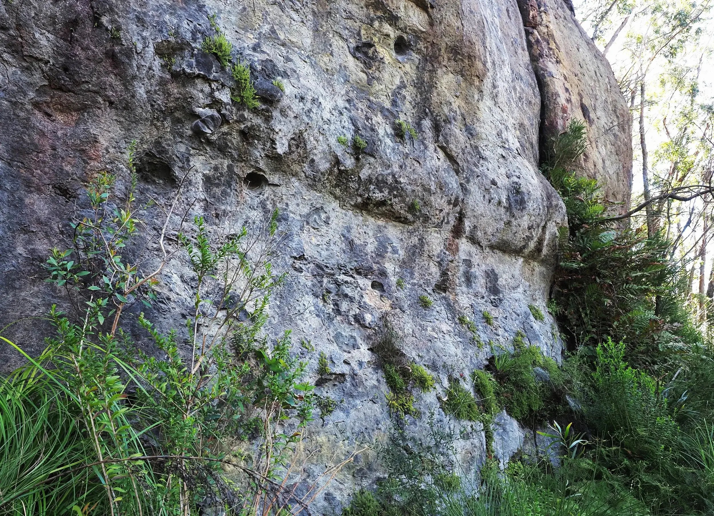 PA101772(1)