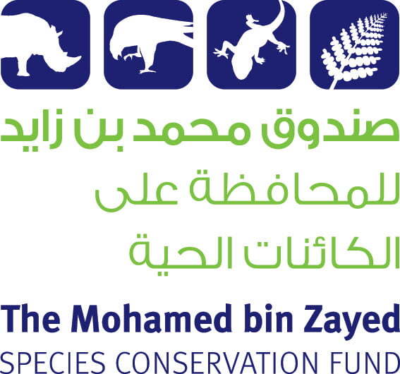 Mohammed Bin