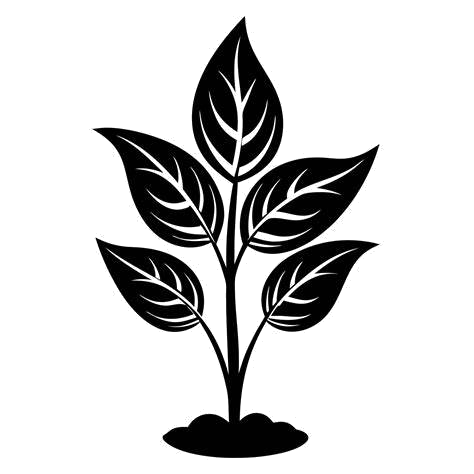 plant_nobg